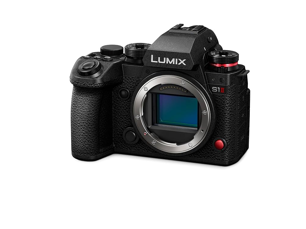 Amazon | パナソニック(Panasonic) フルサイズ ミラーレス一眼